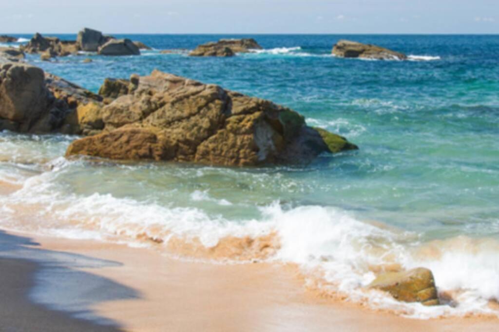 Le Petit Cote Ouest - Appt Dans Les Pins Pres De La Plage Les Sables-d'Olonne Luaran gambar
