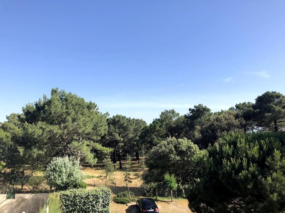Le Petit Cote Ouest - Appt Dans Les Pins Pres De La Plage Les Sables-d'Olonne Luaran gambar